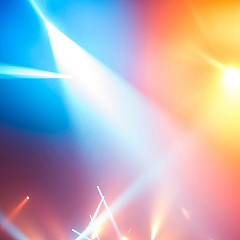 This Month Spotlights