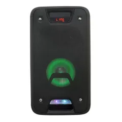 Audio