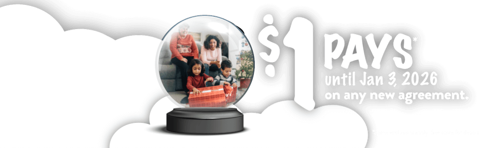 Feels like a shopping wonderland.